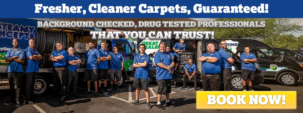 Steamy Concepts Carpet Cleaning Queen Creek Team Specials