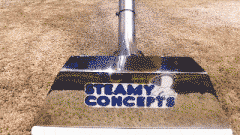 Carpet Cleaning Before and After