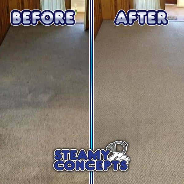Steamy Concepts Carpet Cleaning: Before and After Den