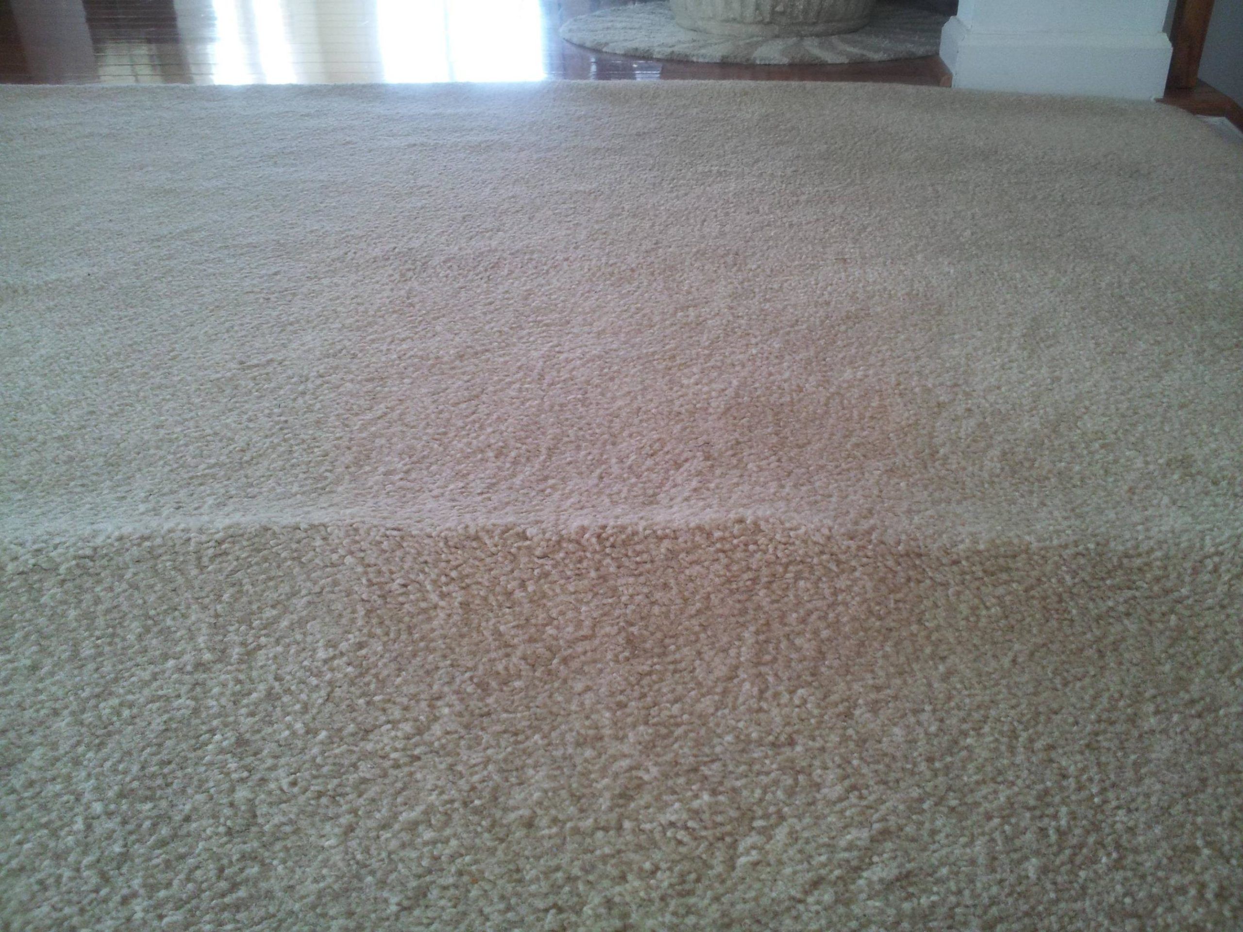 Carpet Padding Guide to Asbestos, Mold, Odor Problems, Solutions