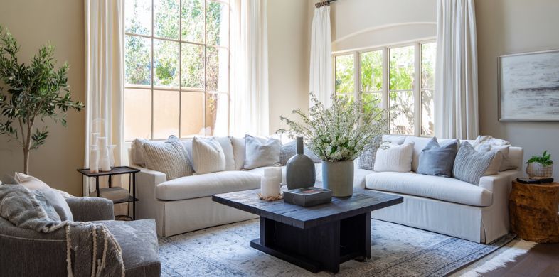 What is the Average Cost of Upholstery Cleaning in Saddlebrooke, AZ?