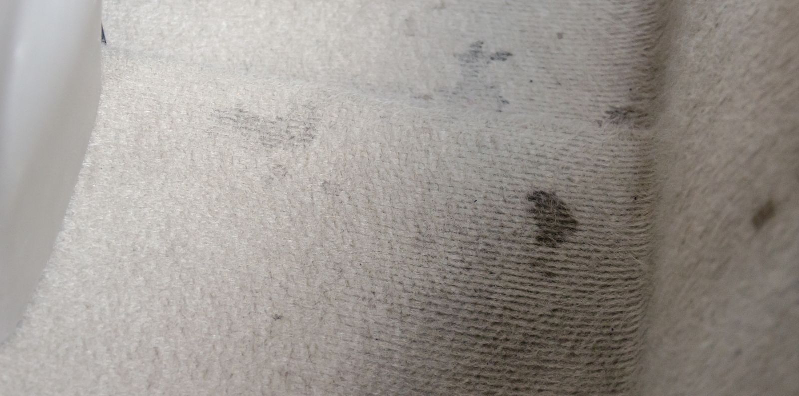 Cleaning Oil Stains from Carpet