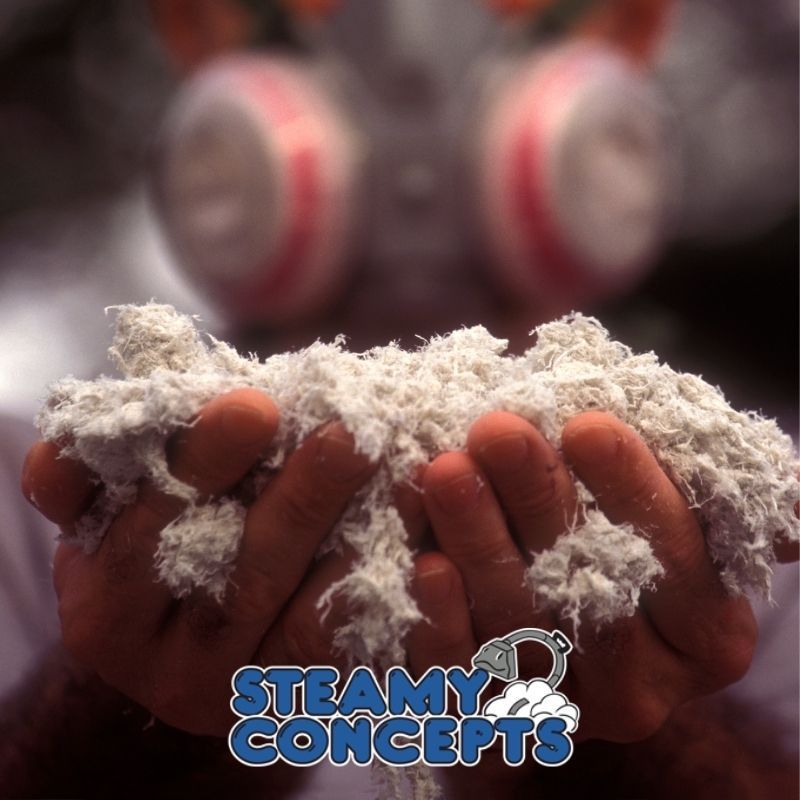 Asbestos Removal Process