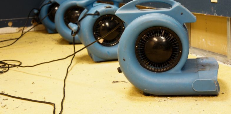 What is the Average Cost of Water Damage Restoration in Green Valley, AZ?