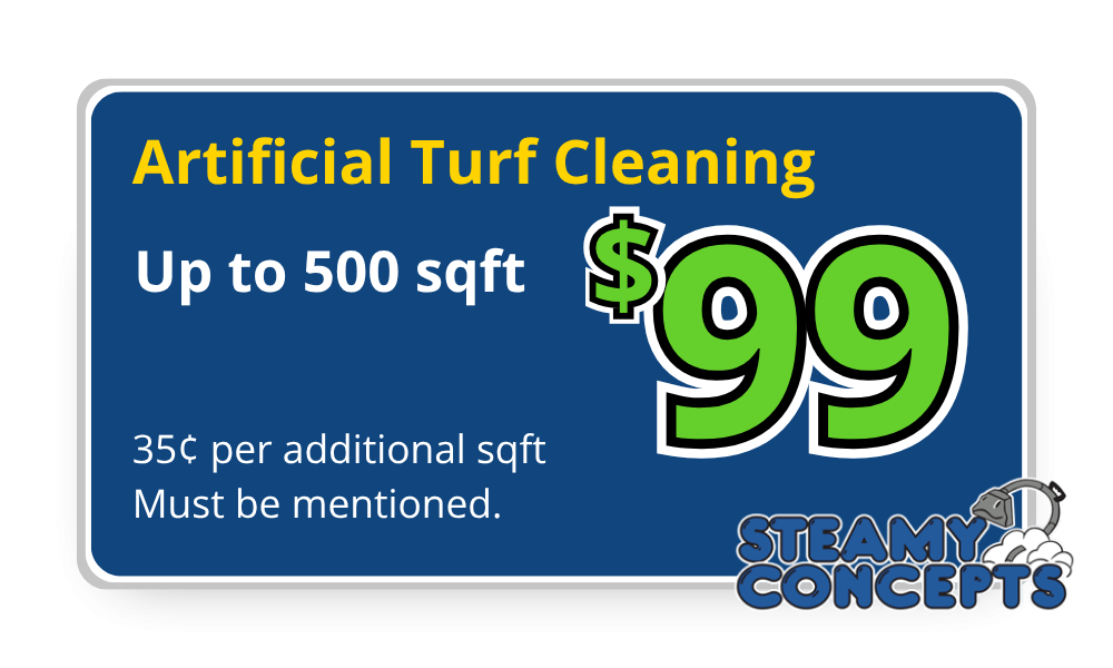 Turf Cleaning Coupon