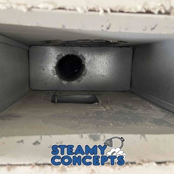 Air Duct Cleaning Results