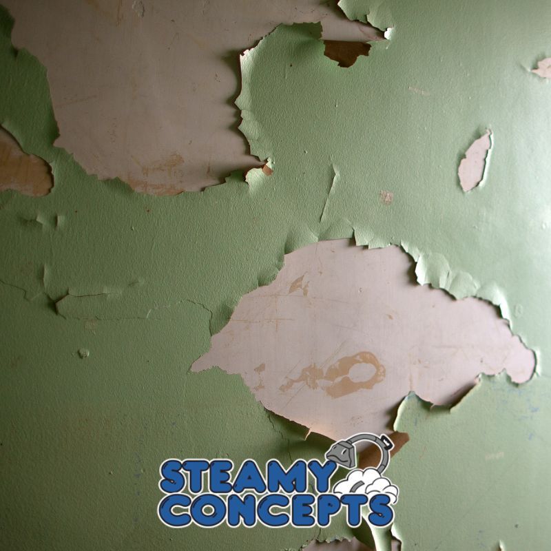 Professional Lead Paint Removal