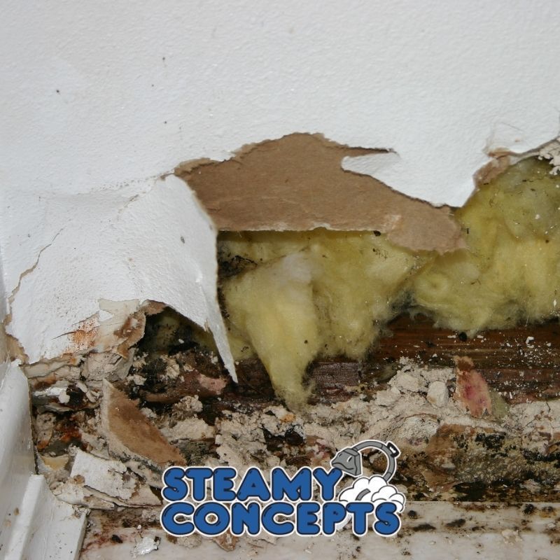 Water Damage Restoration Process