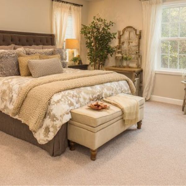 What is the Average Cost of Carpet Cleaning in Oro Valley, AZ?