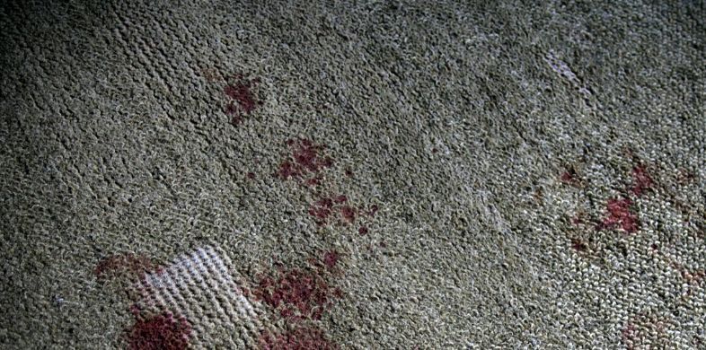 Blood in Carpet - How to Get Rid Of
