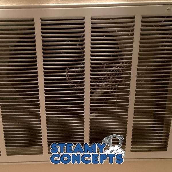 Air Duct Cleaning Results