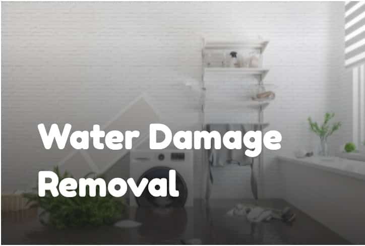 Steamy Water Removal Service