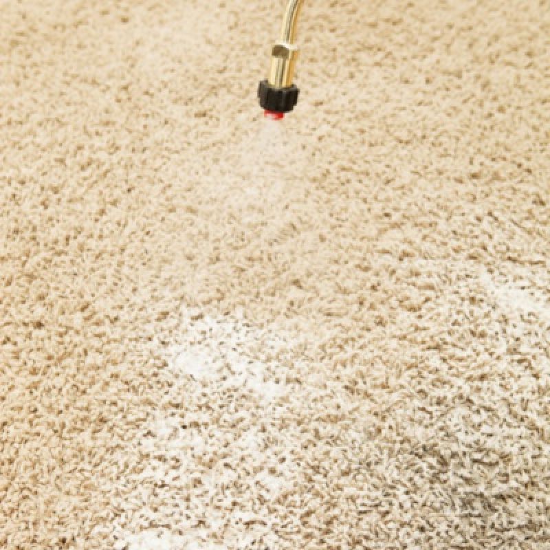 Carpet Spray Cleaning in Anthem AZ