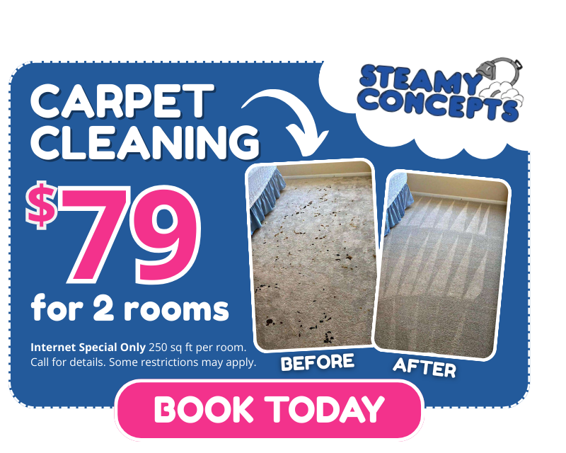 Carpet Cleaning Coupon 79 for 2 Rooms