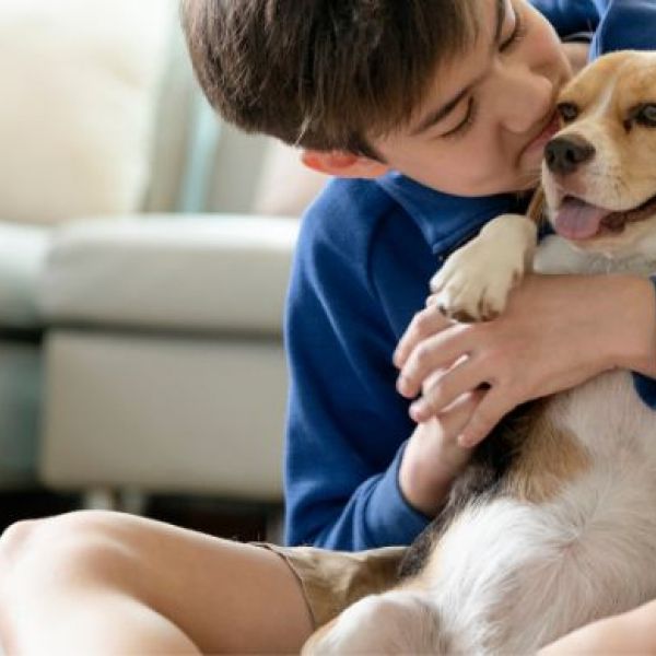 What is the Average Cost of Pet Stain and Odor Removal in Sahuarita, AZ?