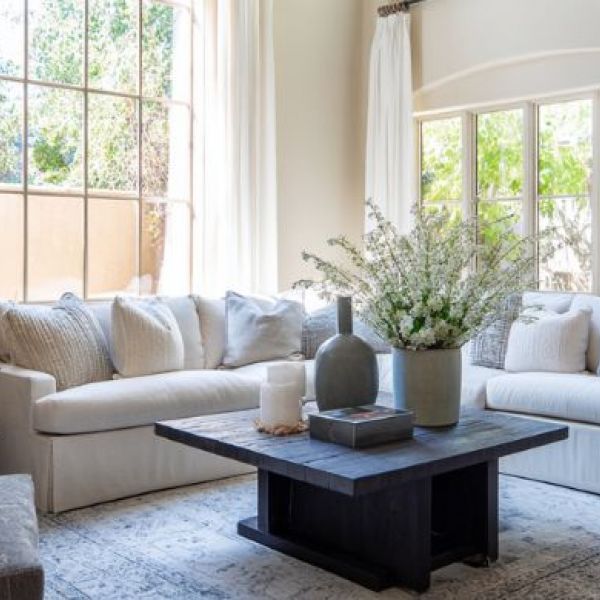What is the Average Cost of Upholstery Cleaning in Saddlebrooke, AZ?