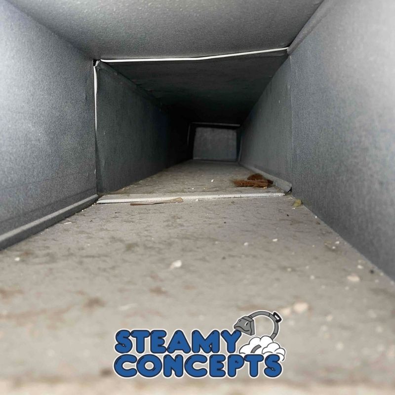 Air Duct Cleaning Process