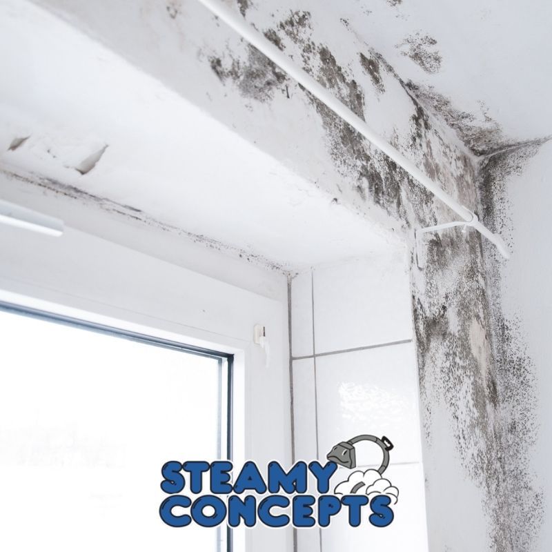 Smoke Damage Cleaning Process