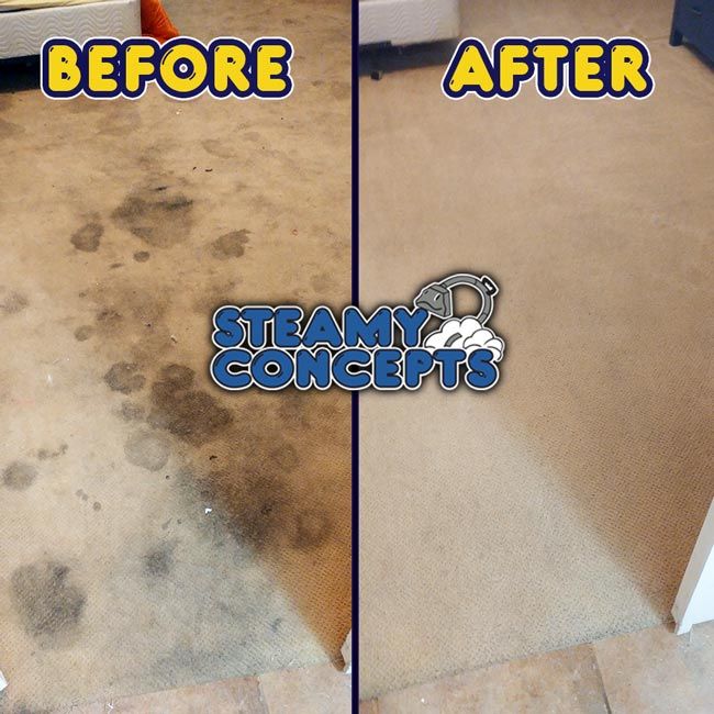 Steamy Concepts Carpet Cleaning - Before & After Apartment Carpet