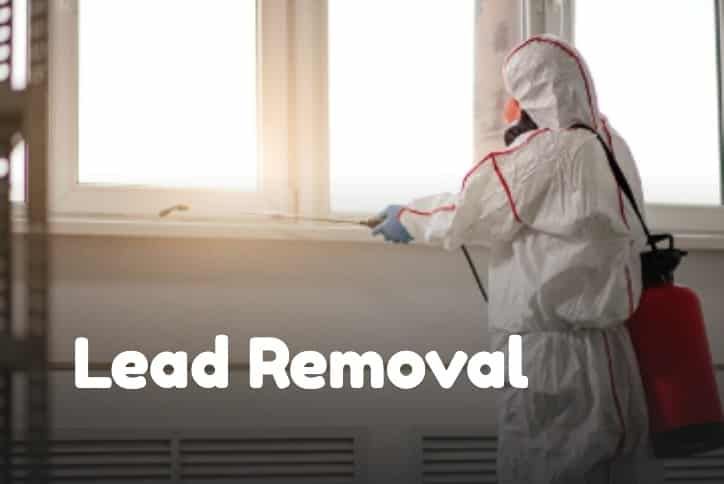 Steamy Lead Removal Service