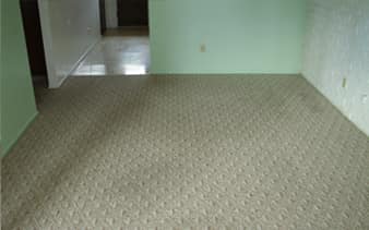 Oro Valley Carpet Cleaning after service.