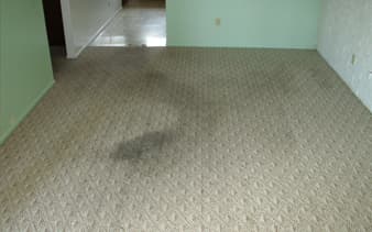 Oro Valley Carpet Cleaning before service.