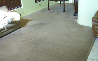 Saddlebrooke Carpet Cleaning Before