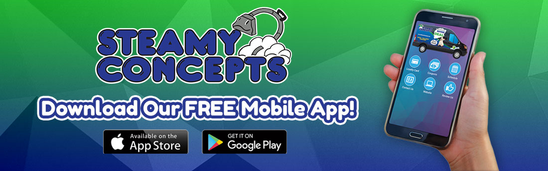 Mobile App Google Play Android Apple iOS