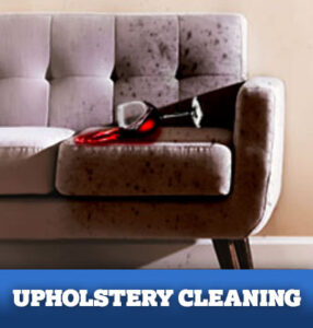 Steamy Concepts | Carpet Cleaning in Phoenix, AZ