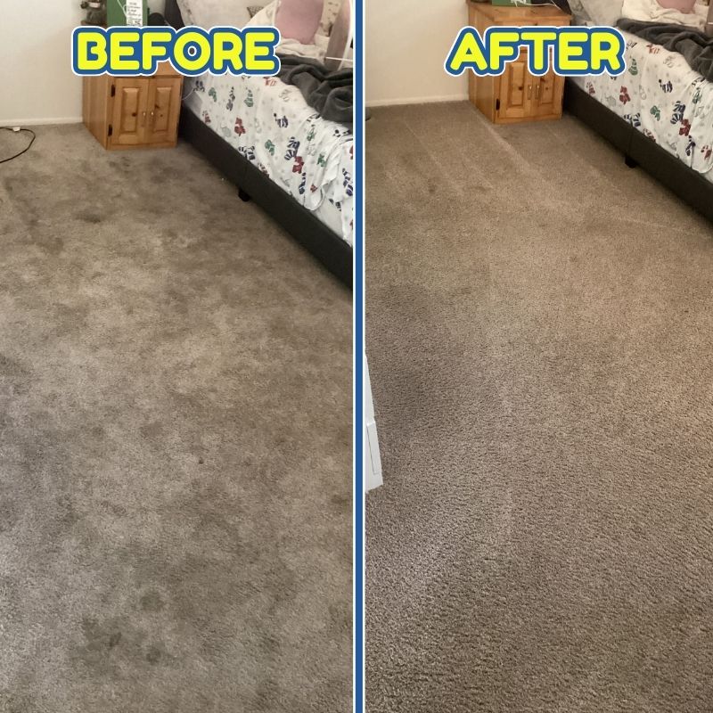 Affordable Carpet Cleaning