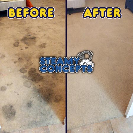 Buckeye Carpet Cleaning - Before & After Apartment Carpet