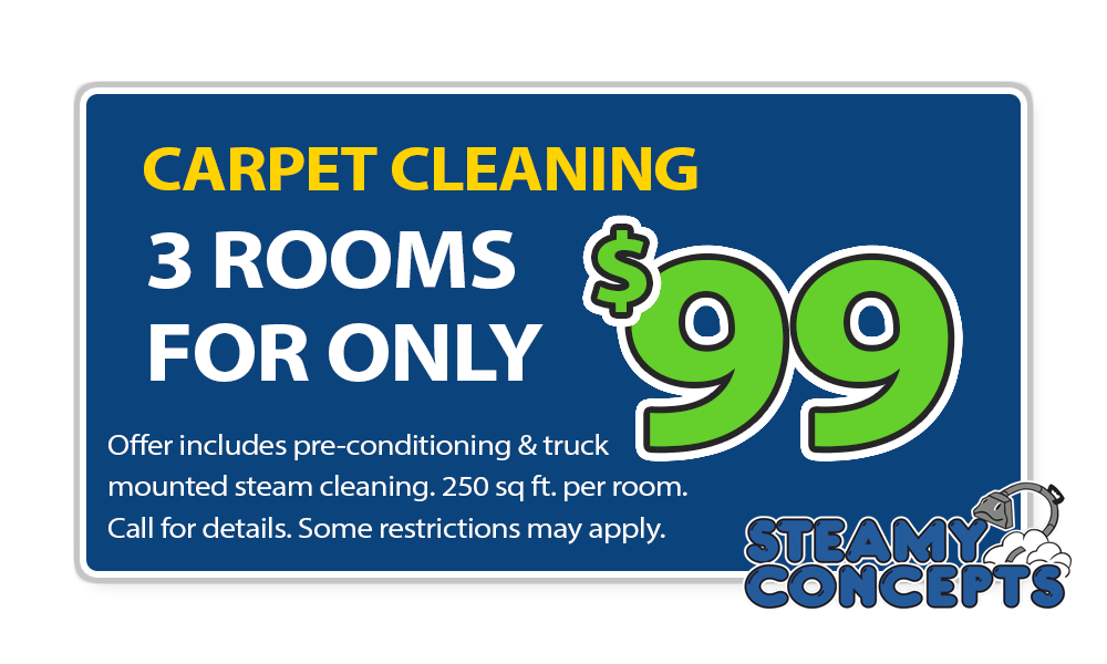 Steamy Concepts Coupon for carpet cleaning service