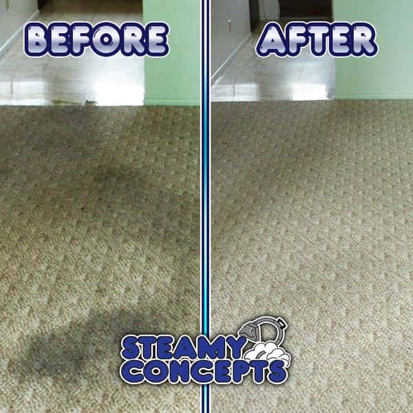 Carpet Cleaning in Cave Creek, AZ