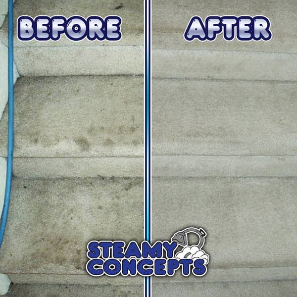 Carpet Cleaning in Marana, AZ
