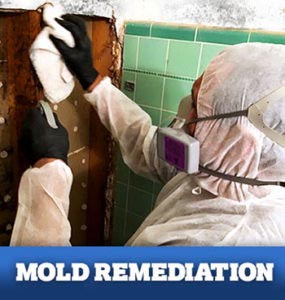 Mold removal and remediation service in Buckeye, AZ