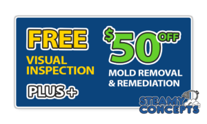 Mold Removal and Remediation Coupon