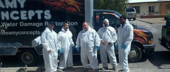 Mold removal team