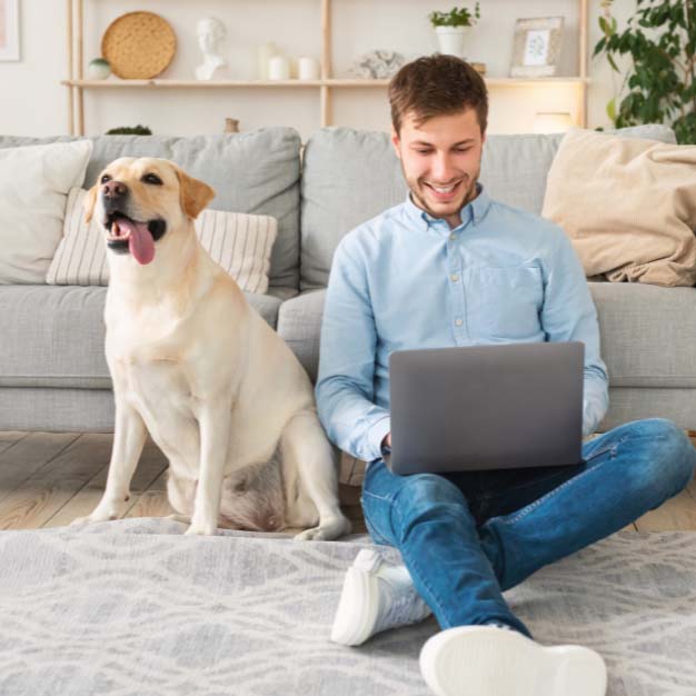 pet stain odor carpet cleaning tucson az