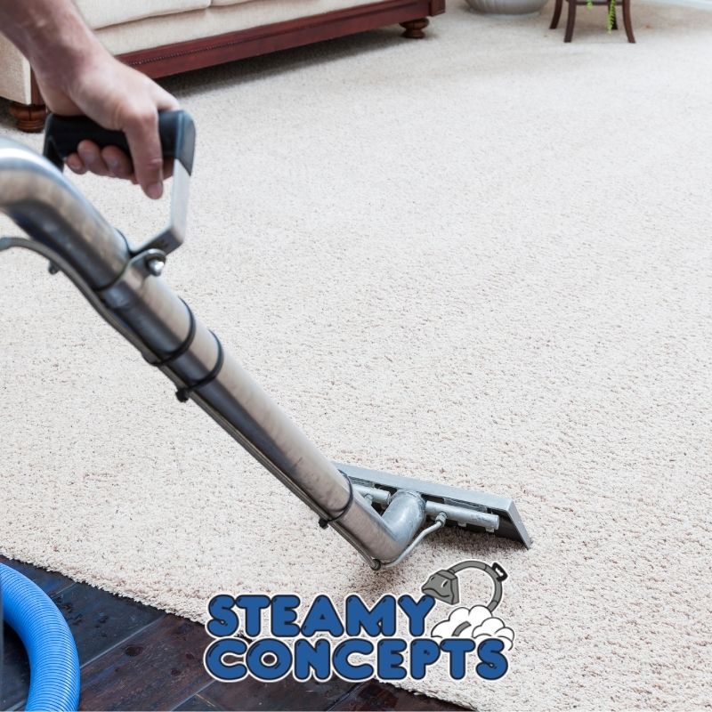 Rug Cleaning in Chandler