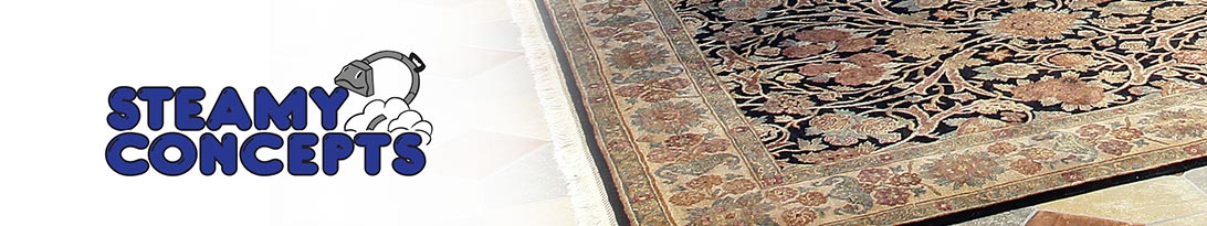 Rug cleaning in Mesa, AZ
