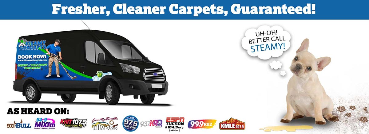 Carpet Cleaning in Scottsdale Arizona