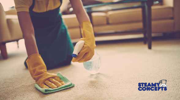 Stain Removal Process in Home
