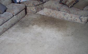 Steamy Concepts Carpet Cleaning Before