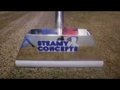 Steamy Concepts Vacuum with Logo