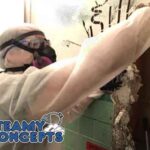 Steamy Concepts Tucson Mold Remediation Inspector