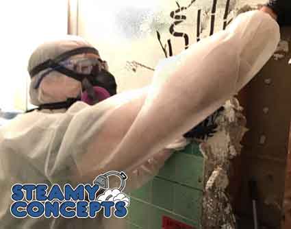 Online Specials Carpet And Tile Cleaning Steamy Concepts