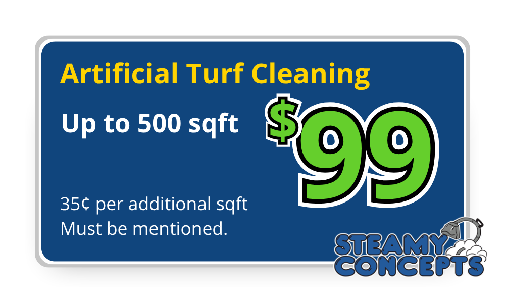 Turf Cleaning Coupon