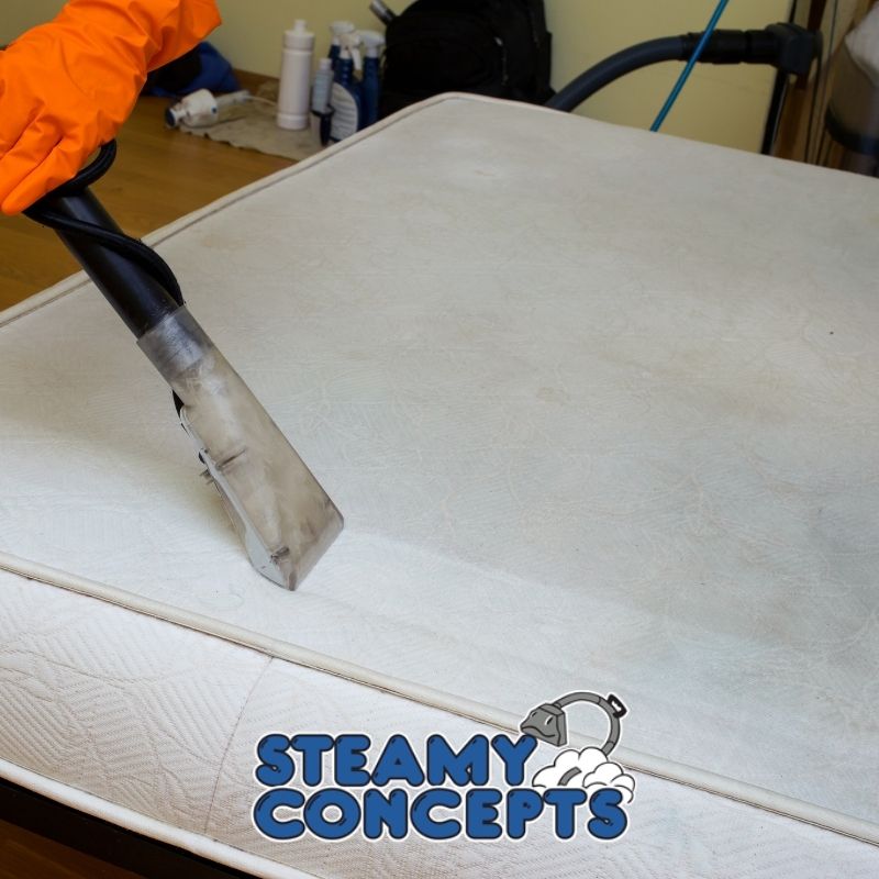Upholstery Cleaning Process 