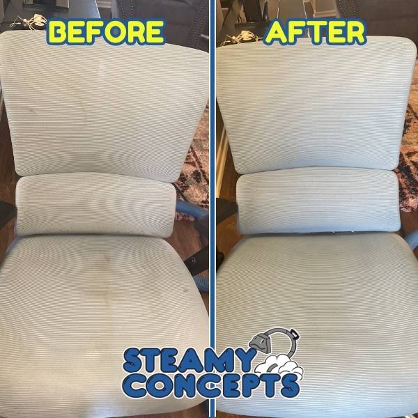 Upholstery Cleaning Results