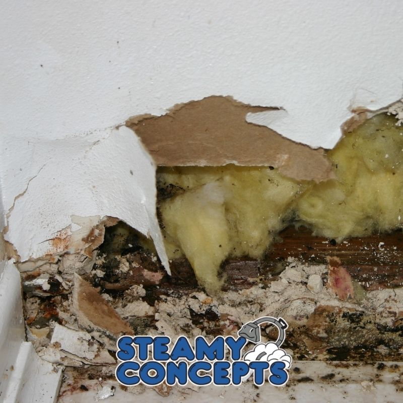 Water Damage Restoration Process